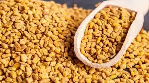 HALBA (FENUGREEK SEEDS) Per KG