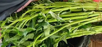 [MM-0099] Kangkung Bundle