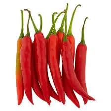 [MM-0100] Chili Red per kg