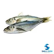 [MM-0105] Fish Kembung per kg