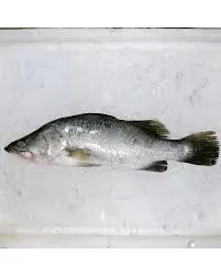 [MM-0106] Fish Siakap per kg